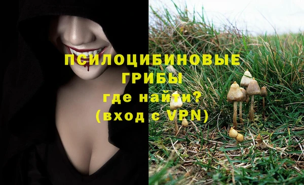 скорость mdpv Елабуга