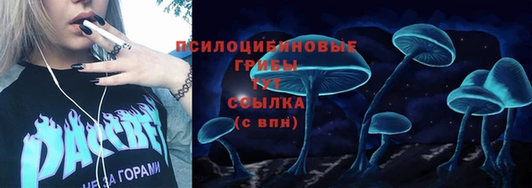 метамфетамин Елизово