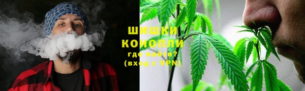 гидропоника Ельня