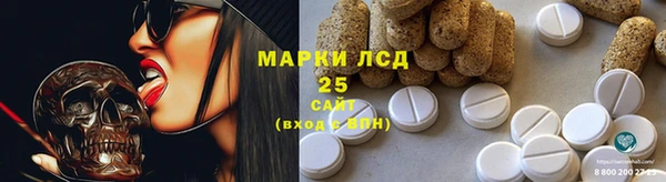 гидропоника Ельня