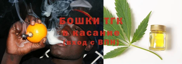 гидропоника Ельня
