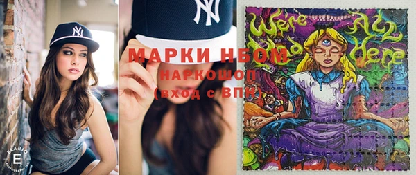 гидропоника Ельня