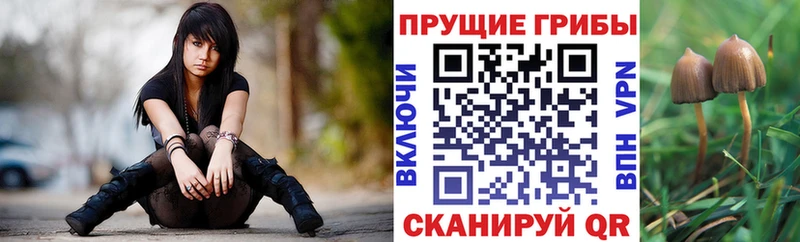 Галлюциногенные грибы Psilocybine cubensis  Купить закладки  Белая Калитва 